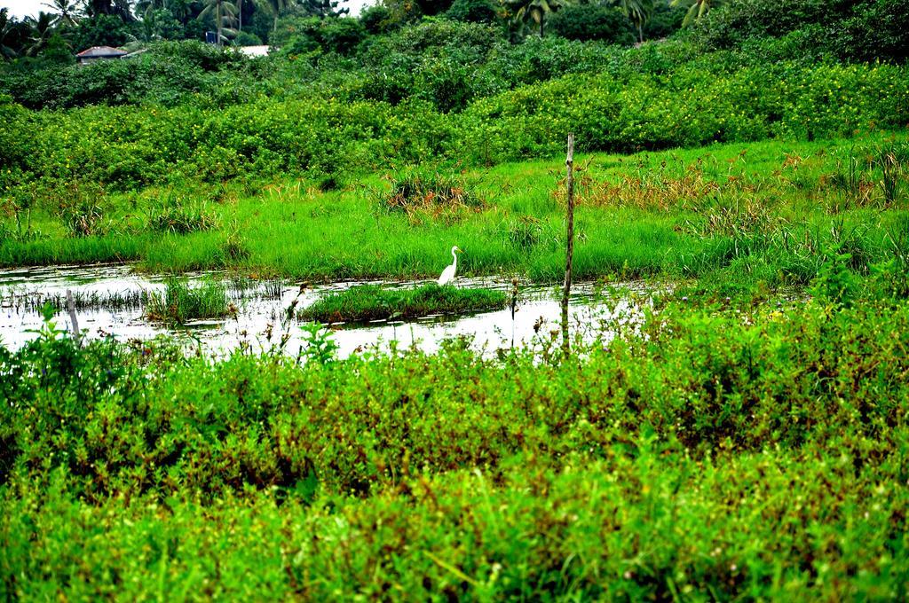 Oak Residencies Villa Kiribathgoda Luaran gambar