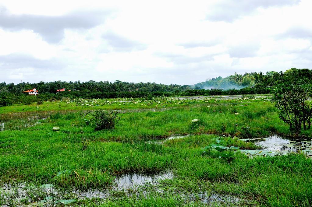 Oak Residencies Villa Kiribathgoda Luaran gambar